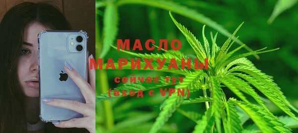 молекула духа Осташков