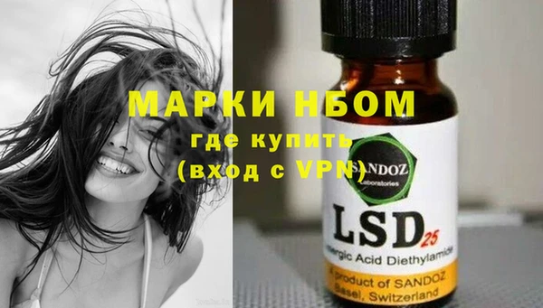 молекула духа Осташков