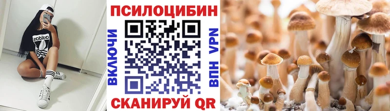 купить цена Переславль-Залесский mega ССЫЛКА Псилоцибиновые грибы мицелий